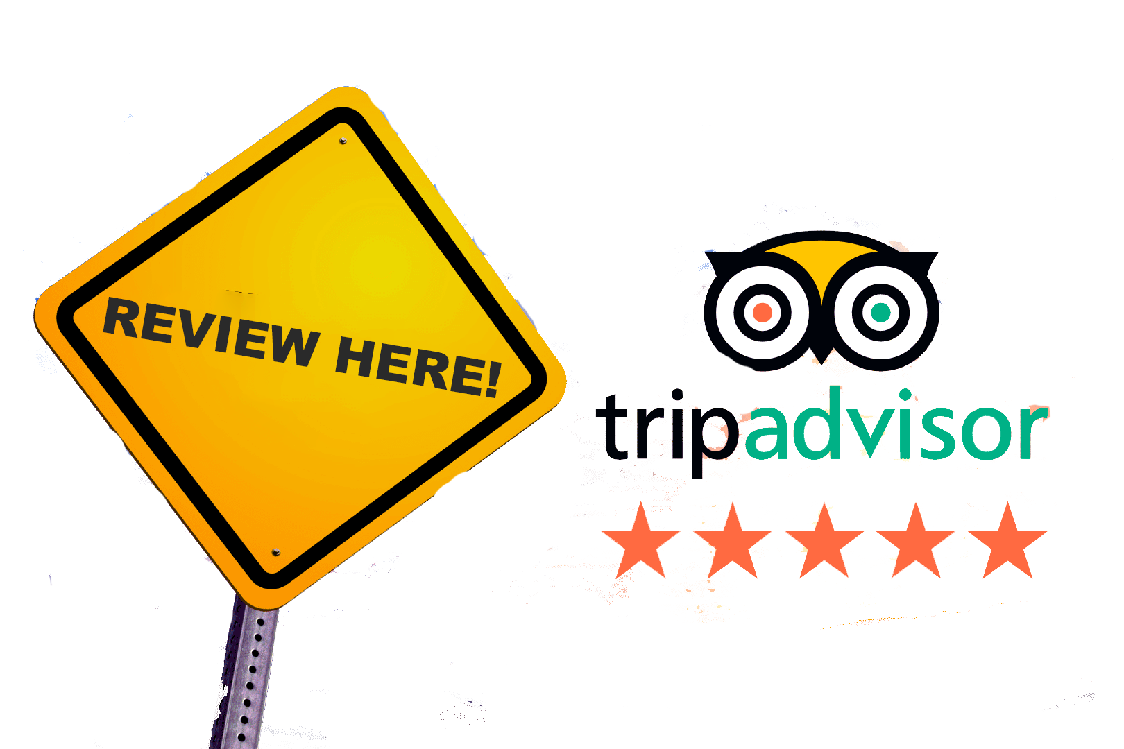 Tripadvisor 5-star reviews Manuel Antonio Travels